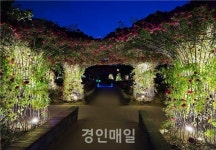 송도 해돋이공원, 장미꽃과 조명이 함께 어우러져 더 아름다워진 밤의 정원