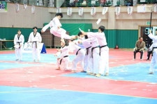 태권도로 하나되는 안산...제31회 안산시장기 태권도 한마당대회 성황리 개최