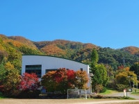 경기도청소년야영장, 환경교육 대폭 강화...자연체험과 연계 운영 나선다