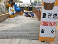 여주시, 상반기 광견병 무료 예방접종 실시