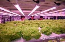 지하철역에 농장이…스마트한 도심 솔루션 화제