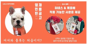 강아지가 회사원? 자연식 펫푸드 스타트업 ‘룰루키친’ 채용 화제