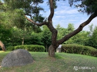 [포토뉴스] 서울 청운공원 윤동주 시인의 언덕, 그리고 서시