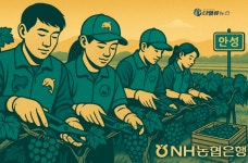 NH농협은행, N돌핀과 안성 포도농가 일손돕기…수확철 인력난 지원