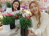 롯데마트, 부모님께 감사의 마음 표현하고 화훼농가도 돕는다