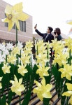 신세계백화점 강남점, 봄 맞아 바람개비 꽃 정원 열어