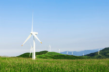 삼양목장 봄‧여름 축제 진행…체험활동‧먹거리 풍성