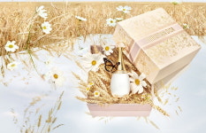 크리스챤 디올 뷰티, 감사의 달 5월 디올 뷰티 ‘베스트 기프트 셀렉션’ 제안