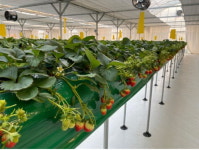 스마트농장에서 힐링을… 서울시, 2월부터 치유농업 프로그램 운영