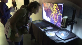 지구상 가장 미스터리한 생명체 블롭을 아시나요?