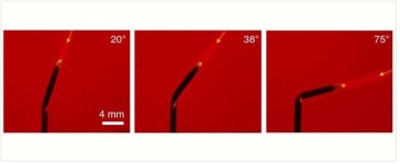 해바라기처럼 빛을 향하는 합성물질 개발...태양광 발전 효율 4배↑