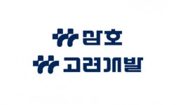 대림건설로 탈바꿈 삼호·고려개발…글로벌 디벨로퍼 飛上