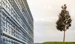 한 그루의 나무도 강력한 냉각 효과...최대 1.4도 낮춰