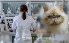 [2025 국감] 동물병원에 인체용 의약품 쏠림… 타 지역 구매 급증 불법 조제 우려