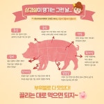 [아프리카돼지열병 1개월] 돼지고기 가격 뚝 음식점 가격 요지부동