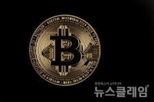 정부 