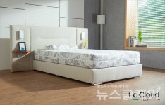 집콕생활 인테리어 관심 뿜뿜