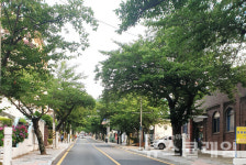 [오, 여행] 그리운 통영… 미륵산 입구 봉수골