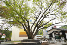 [오, 여행] 그리운 통영… 미륵산 입구 봉수골