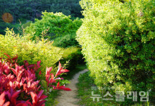 [오, 여행] 그리운 통영… 이순신공원에서 바라본 한산도대첩 현장 