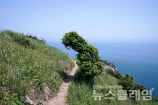 [오, 여행] 그리운 통영… 다시 보고 싶은 통영의 섬 매물도