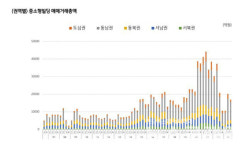 중소형빌딩 투자 정보 KB부동산서 파악