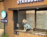 [김동현 칼럼] 스타벅스가 움직였다, 창업 한다면 반려동물 함께하는 매장 구현하라