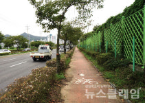 [오, 여행] 이천리 해파랑길… 해파랑길3코스 대변항에서 임랑해변까지