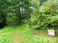 [오, 여행] 이천리 해파랑길… 해파랑길4코스①임랑해수욕장에서 신리마을까지