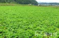 [오, 여행] 이천리 해파랑길… 해파랑길4코스①임랑해수욕장에서 신리마을까지