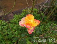 [오, 여행] 이천리 해파랑길… 해파랑길4코스①임랑해수욕장에서 신리마을까지