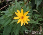 [오, 여행] 이천리 해파랑길… 해파랑길4코스①임랑해수욕장에서 신리마을까지