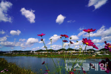 [오, 여행] 이천리 해파랑길… 해파랑길7코스 울산의 번영과 풍요를 보여주는 태화강변길