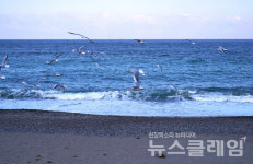 [오, 여행] 이천리 해파랑길… 해파랑길 11코스 신라 문무대왕의 이야기를 새기고 푸른 바다를 품고 걷는 길