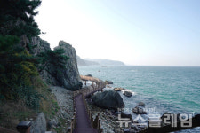 [오, 여행] 50코스의 해파랑길 중 가장 권하고 싶은 멋진 길