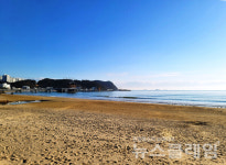 [오, 여행] 고요한 아침 해맞이 해변과 젊음이 펄떡이던 칠포해변