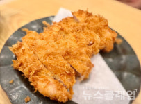 [식사합시다] 양재 손수동