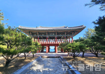 [오, 여행] 관동팔경 중 가장 남쪽에 자리한 월송정