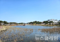 [오, 여행] 왕피천, 남대천, 울진읍내를 거쳐 죽변항까지 잔잔하게 볼 것 많은 길