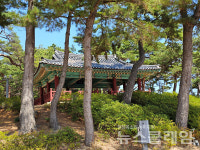 [오, 여행] 왕피천, 남대천, 울진읍내를 거쳐 죽변항까지 잔잔하게 볼 것 많은 길