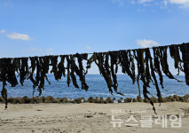 [오, 여행] 왕피천, 남대천, 울진읍내를 거쳐 죽변항까지 잔잔하게 볼 것 많은 길