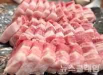 [식사합시다] 일품생고기