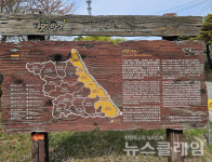 [오, 여행] 이천리 해파랑길 경상북도 울진군에서 강원도 삼척시로 넘어가는 길