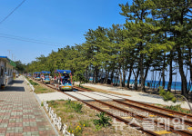 [오, 여행] 이천리 해파랑길 레일바이크 그리고 1992년 바르셀로나 올림픽의 마라톤 영웅 황영조