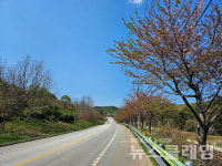 [오, 여행] 이천리 해파랑길 삼척공양왕릉에서 삼척원전건설백지화기념비까지