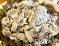 [식사합시다] 아야진생태찌개 역삼직영점