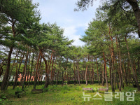 [오, 여행] 이천리 해파랑길 동해시에서 망상해변을 거쳐 강릉시로 들어가는 길