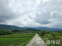 [오, 여행] 이천리 해파랑길 강릉 외곽의 목가적인 전원 풍경에 취해 내륙으로 들어가는 길