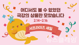 이마트 롯데마트 홈플러스 대형마트 휴무일, 어디로 장보러 가볼까