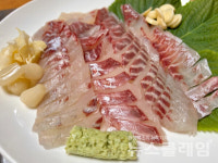 [식사합시다] 강경순계절맛집